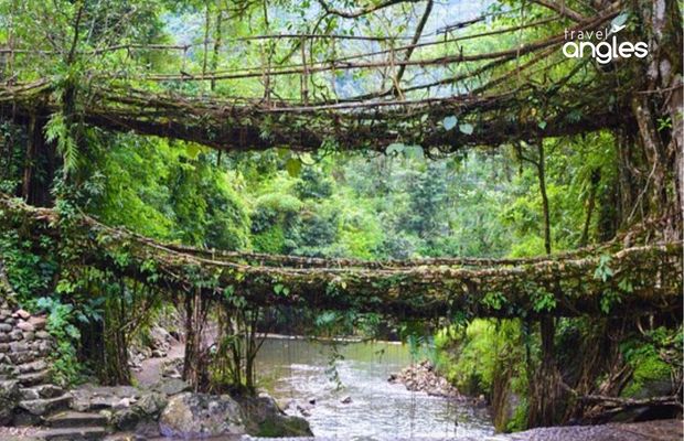 Root bridge inmeghalaya