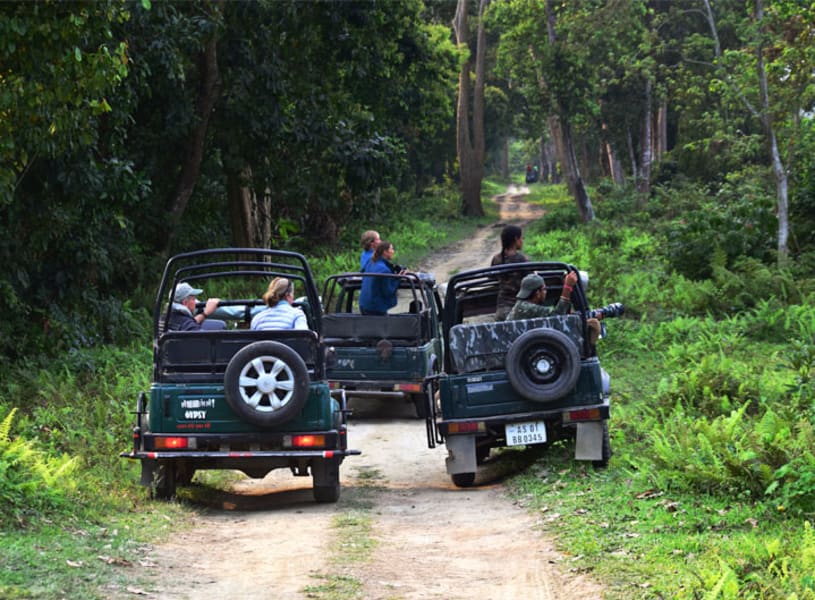 kaziranga zeep safari