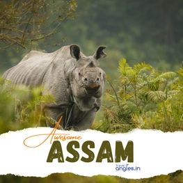 assam