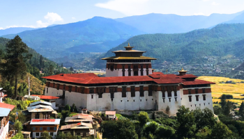 Rinpung Dzong (1)
