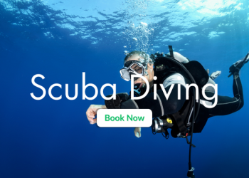 scuba diving (1)